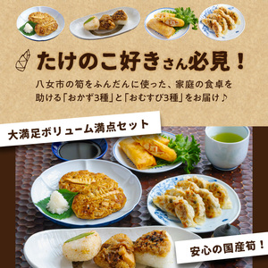 たけのこの都(みやこ)【ふるさと愛プロジェクト】 簡単調理 焼くだけ 揚げるだけ レンチン おかず おにぎり たけのこ 筍 ハンバーグ 餃子 春巻き セット 冷凍 個包装 ギフト プレゼント 福岡県 八女市 113-FP