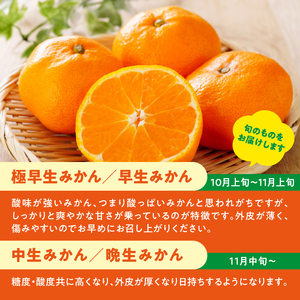 ＜道の駅たちばなオリジナル＞みかん5kg詰合せ 早生みかん 中生みかん 晩生みかん ミカン オレンジ 果物 フルーツ 054-015