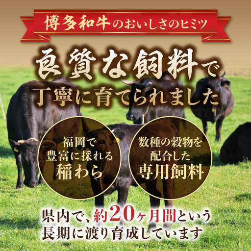 【A4～A5】博多和牛ヒレステーキ 450g(150g×3枚) 肉 お肉 和牛 黒毛和牛 博多和牛 ヒレ ステーキ ヒレステーキ フィレ 貴重部位 贈り物 贈答品 化粧箱 濃厚 旨み 国産 214-038