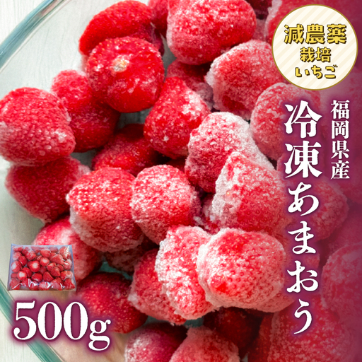 冷凍いちご 500g×1パック【大月いちご園】 あまおう いちご 苺 イチゴ フルーツ くだもの 朝採り 冷凍 アレンジ 小分け 食べきり 福岡県 八女市 210-001