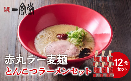【豚骨ラーメンセット】一風堂博多とんこつラーメン赤丸新味（12人前） 博多 豚骨ラーメン 12人前 濃厚 辛味噌 麺 一風堂 ご当地ラーメン 福岡県 八女市 072-348 7,700円