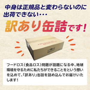 九州福岡工場直送！ 訳あり フルーツ缶詰 お楽しみ 福箱 缶詰め 国産 保存食 非常食 防災 備蓄食 フルーツ缶詰 かんづめ フルーツ 果物 身割れ 福岡県 八女市 007-036