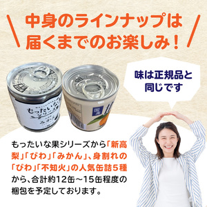 九州福岡工場直送！ 訳あり フルーツ缶詰 お楽しみ 福箱 缶詰め 国産 保存食 非常食 防災 備蓄食 フルーツ缶詰 かんづめ フルーツ 果物 身割れ 福岡県 八女市 007-036