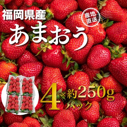 福岡県産あまおう 約250g×4パック いちご イチゴ 苺 あまおう フルーツ 果物 くだもの 250g 4パック 福岡県 八女市 155-005