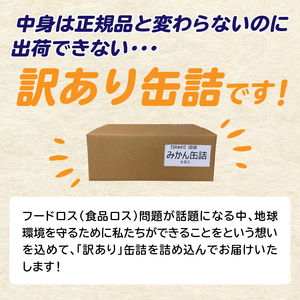 九州福岡工場直送！ 【訳あり】 もったいな果シリーズ みかん缶詰 お楽しみ 福箱 温州みかん もったいない 訳あり 備蓄 保存 福岡県 八女市 007-038