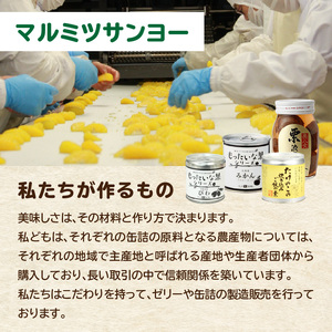九州福岡工場直送！ 【訳あり】 もったいな果シリーズ みかん缶詰 お楽しみ 福箱 温州みかん もったいない 訳あり 備蓄 保存 福岡県 八女市 007-038