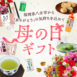 母の日ギフト 国産百花蜂蜜500g（とんがり容器）×2本 はちみつ ハチミツ 母の日 お祝い プレゼント 贈り物 おすすめ メッセージカード付 024-019-H