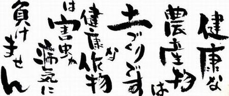 ＜農薬不使用八女茶＞極　煎茶初花詰合せ＜80g×2本＞ 041-001