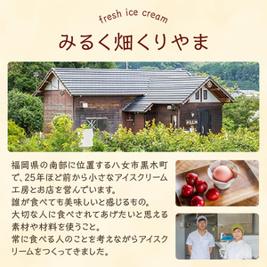 くりやまアイス12個おまかせセット 各90ml アイスクリーム 酪農家 手作り 地元産 お茶 フルーツ 身体に優しい 笑顔 幸せ 043-002