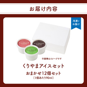 くりやまアイス12個おまかせセット 各90ml アイスクリーム 酪農家 手作り 地元産 お茶 フルーツ 身体に優しい 笑顔 幸せ 043-002