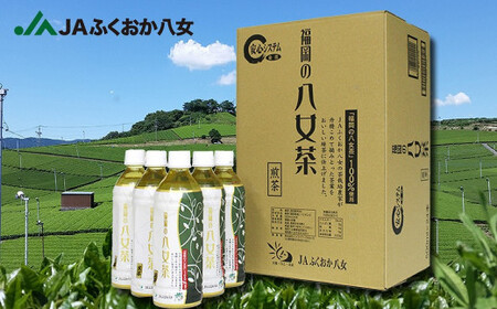 【3ヶ月連続お届け】福岡の八女茶 煎茶ペットボトル(500ml×24本)産地直送 026-T009