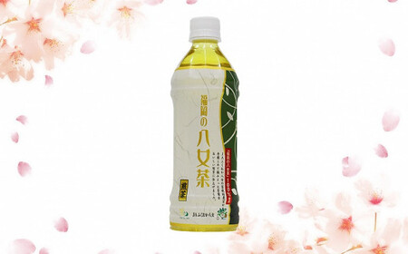 【3ヶ月連続お届け】福岡の八女茶 煎茶ペットボトル(500ml×24本)産地直送 026-T009