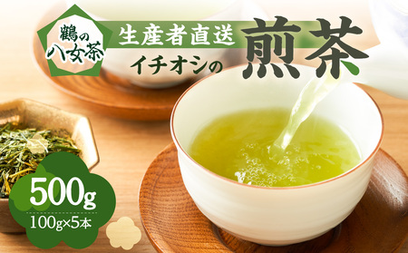 鶴の八女茶（イチオシの煎茶） ＜生産者直送＞ 100g×5本　026-010