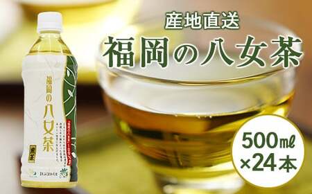 産地直送】福岡の八女茶 煎茶ペットボトル（500ml×24本） 026-011