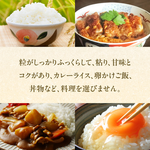 八女産ヒノヒカリ 5kg! 清流矢部川と大地の恵み 米 白米 ご飯 粘り 甘み コク 026-001