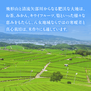 八女産ヒノヒカリ 5kg! 清流矢部川と大地の恵み 米 白米 ご飯 粘り 甘み コク 026-001