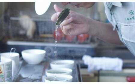 【お茶の光玉園】ティーバッグギフト（玉露、煎茶、ほうじ茶、玄米茶セット）　049-007
