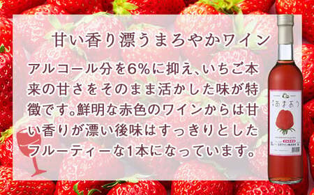 あまおうワイン2本セット　066-001