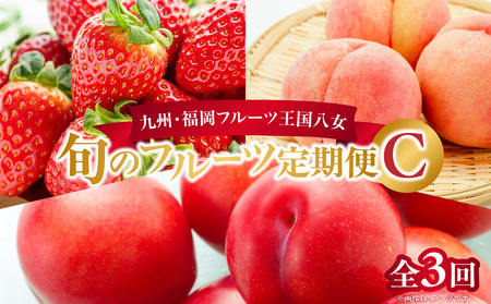 九州・福岡フルーツ王国八女　旬のフルーツ定期便【全３回】 C｜＜配送不可：北海道・沖縄・離島＞ あまおう いちご 苺イチゴ もも 桃 すもも 果物 フルーツ 定期便 デザート 旬 もぎたて 直送 福岡 八女市 072-T003