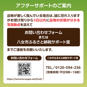 九州・福岡フルーツ王国八女　お楽しみ旬のフルーツ定期便【全３回】 E｜＜配送不可：北海道・沖縄・離島＞ あまおう いちご 苺 イチゴ キウイ シャインマスカット マスカット フルーツ 果物 くだもの 人気 旬 デザート 福岡県産 アフター補償 産地直送 福岡県 八女市 072-T005