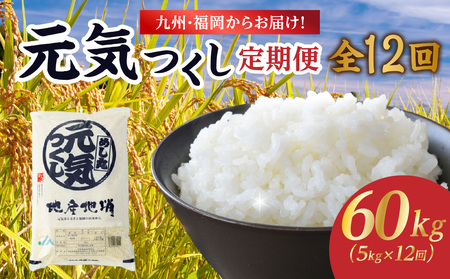 九州・福岡からお届け！ブランド米「元気つくし」定期便【全12回】 お米 米 コメ 白米 特A 直送 お弁当 おにぎり 炊きたて ツヤ 粘り もちもち 弾力 卵かけご飯 福岡県 八女市 072-T072