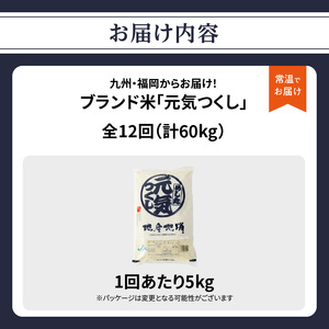 九州・福岡からお届け！ブランド米「元気つくし」定期便【全12回】 お米 米 コメ 白米 特A 直送 お弁当 おにぎり 炊きたて ツヤ 粘り もちもち 弾力 卵かけご飯 福岡県 八女市 072-T072