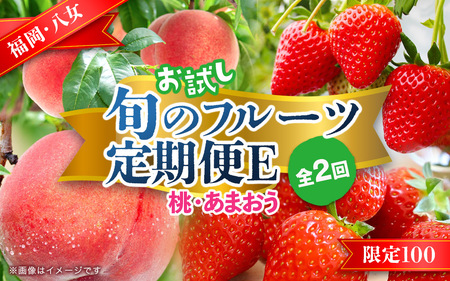 九州・福岡フルーツ王国八女　お試し旬のフルーツ定期便【全２回】 E｜＜配送不可：北海道・沖縄・離島＞ あまおう 苺 いちご イチゴ もも 桃 モモ 果物 くだもの フルーツ 定期便 デザート 旬 もぎたて 直送 福岡県 八女市 072-T018