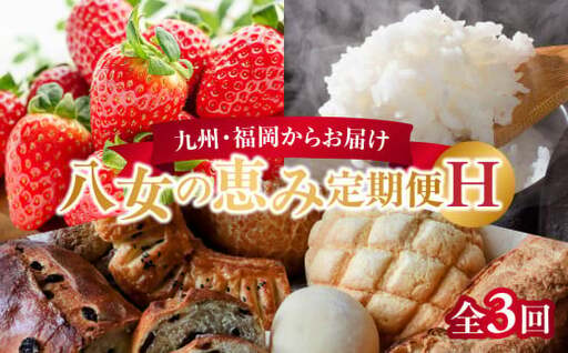 九州・福岡からお届け！八女の恵み定期便【全3回】H　＜配送不可：北海道・沖縄・離島＞　072-T040