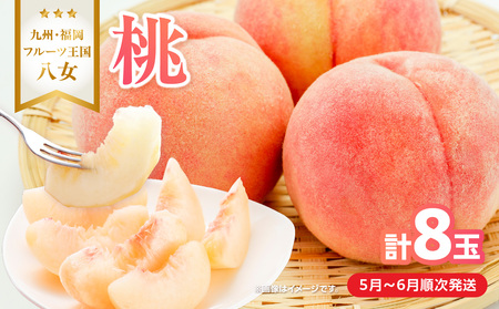 【2026年5月下旬～6月発送】九州・福岡フルーツ王国八女から直送！桃 8玉入り＜配送不可：北海道・沖縄・離島＞ 県 八桃 もも モモ フルーツ くだもの 果物 産地直送 ジューシー 家庭用 自宅用 家族団らん デザート スイーツ作り 福岡女市 072-164