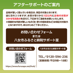 【先行受付】【2026年7月～8月発送予定】九州・福岡フルーツ王国八女から直送！巨峰［ぶどう］４パック（約1.2kg）＜配送不可：北海道・沖縄・離島＞ 巨峰 ブドウ フルーツ デザート 旬 果物 直送 果汁 みずみずしい 福岡県 八女市 072-006