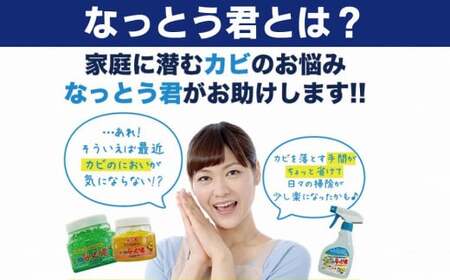 カビ消臭なっとう君（浴室洗面所用）3点セット　072-007