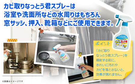 カビ取りなっとう君スプレー3本セット 072-009