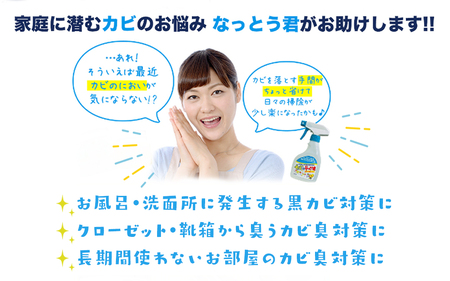 カビ取りなっとう君スプレー3本セット 072-009