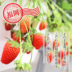 福岡の苺で作った上品なアイスクミルク 果肉入り 8個　076-003