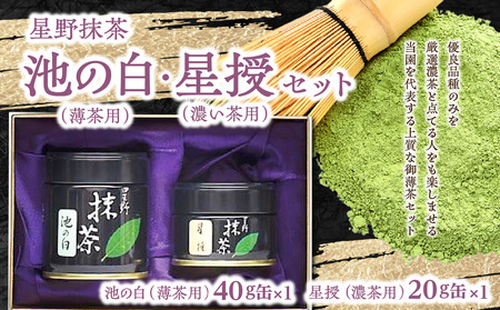 星野抹茶 星授（濃い茶用）・池の白（薄茶用） セット　001-020