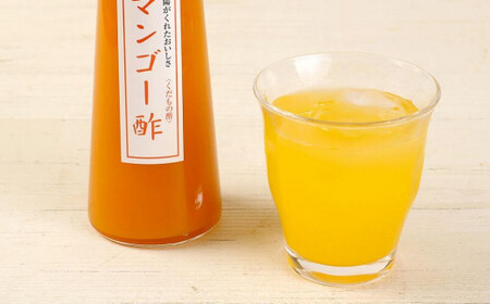 果物酢(マンゴー・ブルーベリー)セット【牛乳やソーダ割・ヨーグルトにかけて】 001-035