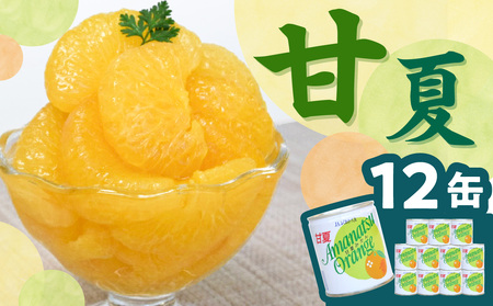 甘味と苦味のバランスが特徴 甘夏缶詰(全果粒、身割れ混合)1２缶入　001-052