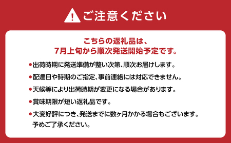 【先行受付】種なし 巨峰 1.4kg（350g×4パック）｜2026年7月上旬～発送予定 産地直送 朝採れ巨峰 種なし巨峰 甘い巨峰 ジューシーな巨峰 大粒な巨峰 もぎたての巨峰 002-006