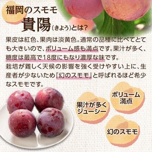 【先行受付】＜福岡のスモモ＞貴陽【1.2kg】【JAふくおか八女】※7月上旬～発送予定 002-008