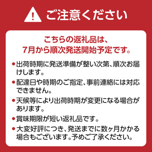 【先行受付】＜福岡のスモモ＞貴陽【1.2kg】【JAふくおか八女】※7月上旬～発送予定 002-008