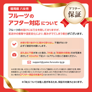 【先行受付】＜福岡のスモモ＞貴陽【1.2kg】【JAふくおか八女】※7月上旬～発送予定 002-008