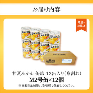 甘夏みかん 缶詰 12缶入り(身割れ) 007-013