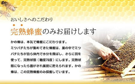 ＜国産＞かの蜂 みかん蜂蜜【600g】福岡県八女市で収獲した完熟みかん蜂蜜　024-007