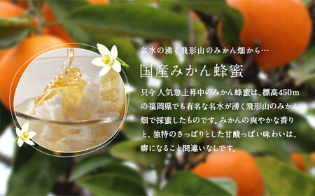 ＜国産＞かの蜂 はちみつ1.2kg（レンゲ600g、みかん600g）　024-029