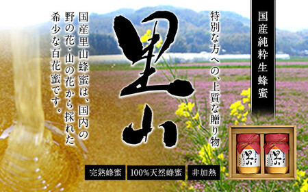 【ギフト用】 かの蜂  国産里山蜂蜜【500g×2本】セット 養蜂一筋60年自慢の一品　024-039-GFT