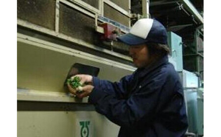 奥八女紅茶『紅・八女津媛』ラフィーネ缶　032-016