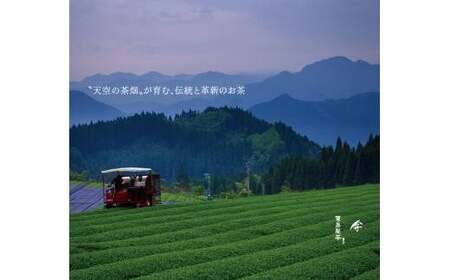 八女伝統本玉露 ~伝でん~クラフト100g 032-018