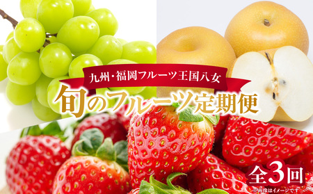 九州・福岡フルーツ王国八女 お楽しみ旬のフルーツ定期便【全3回】|<配送不可:北海道・沖縄・離島> 072-T008