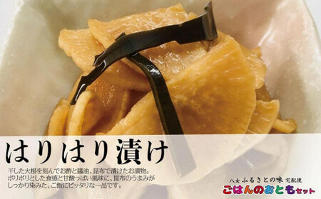 九州福岡・八女ふるさとの味 ごはんのおともおかずセット 072-044