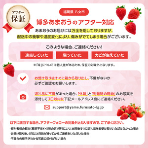 福岡県産あまおう 270g×4パック【3回定期便】 いちご 苺 イチゴ フルーツ あかい まるい おおきい うまい 人気 果物 福岡県産 八女市 137-T001